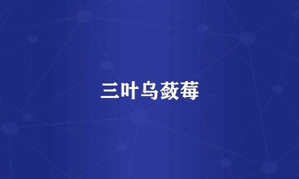 三叶乌蔹莓