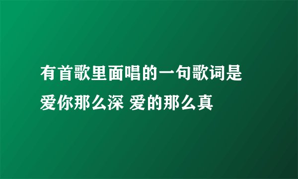 有首歌里面唱的一句歌词是 爱你那么深 爱的那么真