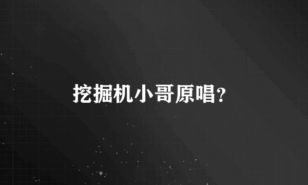 挖掘机小哥原唱?