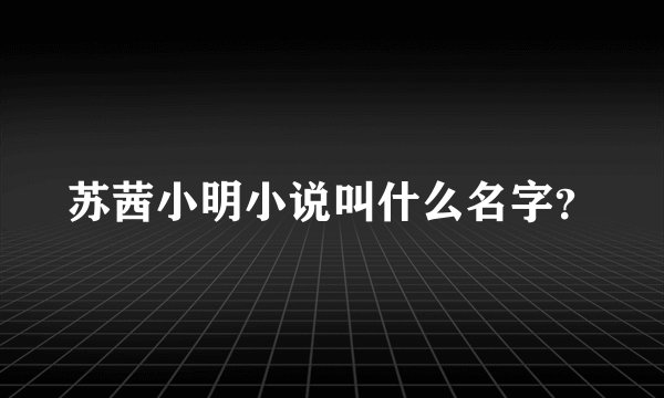 苏茜小明小说叫什么名字?