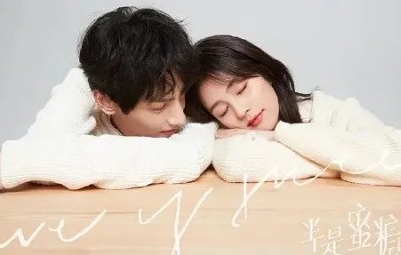 《半是蜜糖半是伤》什么时候播出 该剧讲述了什么故事