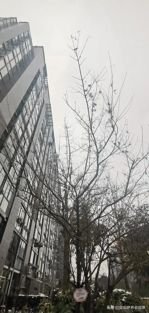 最近想入手美达浅草明苑小区的房子,但是中介推荐了一个边户,美达浅草明苑小区噪音大吗?可以入手吗?