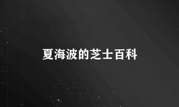 夏海波的芝士百科