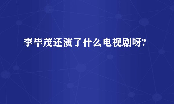 李毕茂还演了什么电视剧呀?