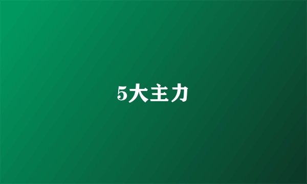 5大主力