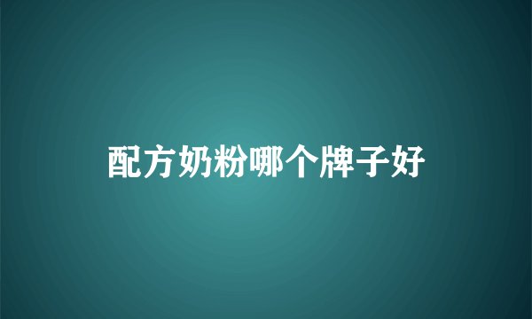 配方奶粉哪个牌子好