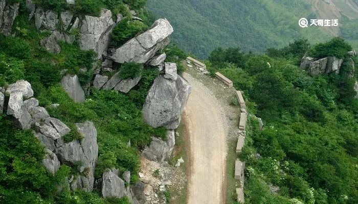 绿阴不减来时路添得黄鹂四五声的意思是什么