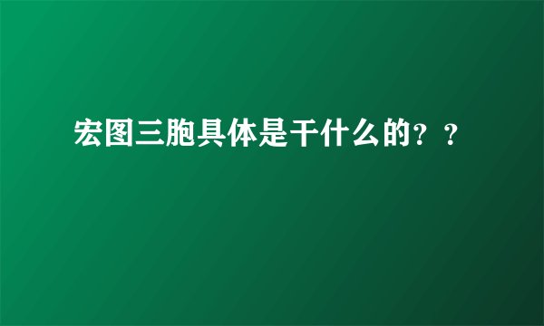 宏图三胞具体是干什么的？？