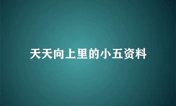 天天向上里的小五资料