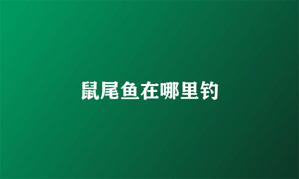 鼠尾鱼在哪里钓