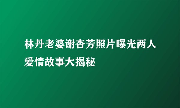 林丹老婆谢杏芳照片曝光两人爱情故事大揭秘