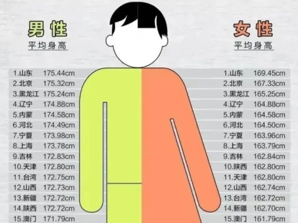 各省平均身高