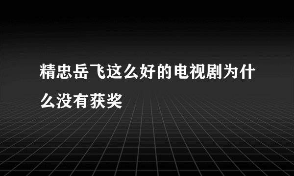 精忠岳飞这么好的电视剧为什么没有获奖