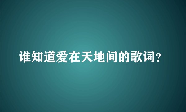 谁知道爱在天地间的歌词？