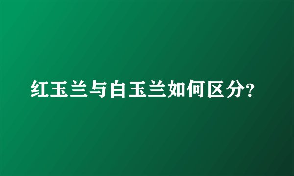 红玉兰与白玉兰如何区分？