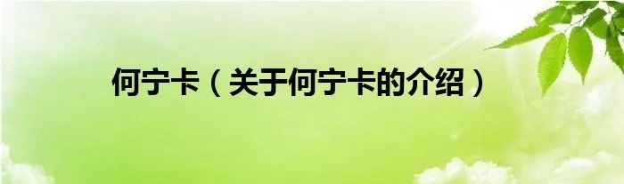 何宁卡（关于何宁卡的介绍）