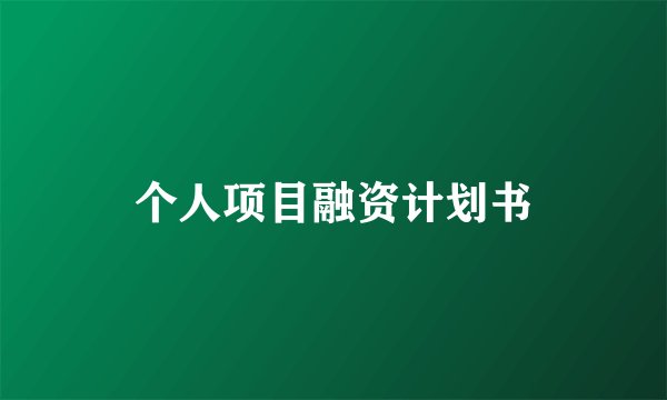 个人项目融资计划书