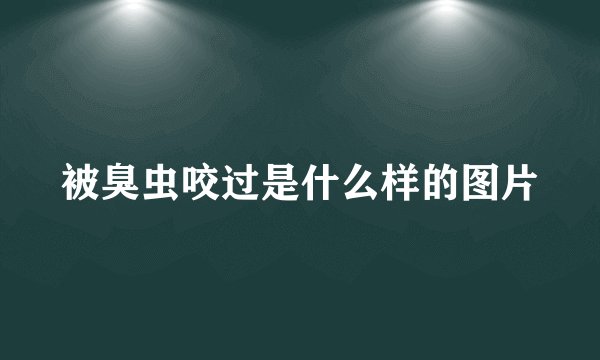 被臭虫咬过是什么样的图片