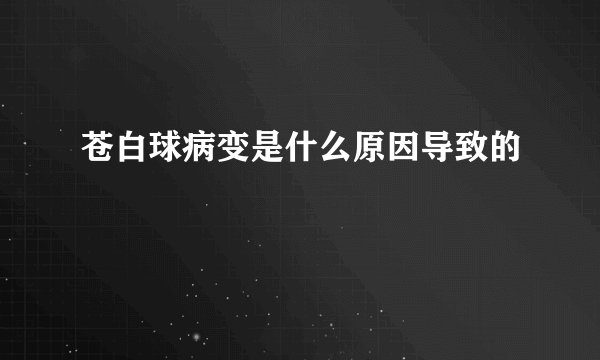 苍白球病变是什么原因导致的