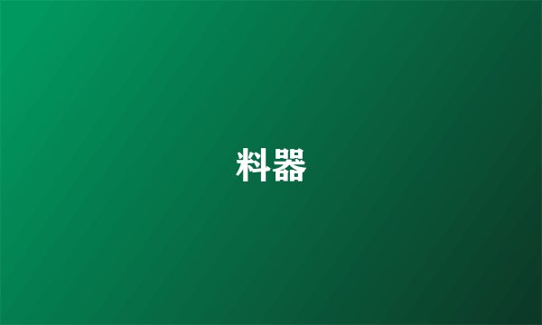 料器