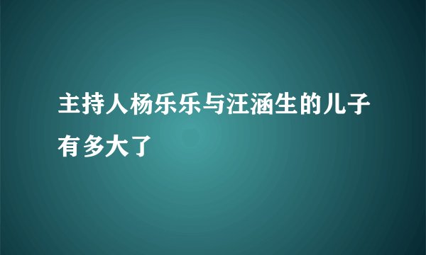 主持人杨乐乐与汪涵生的儿子有多大了