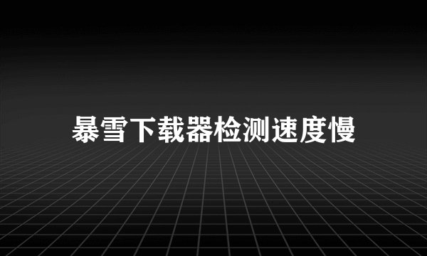 暴雪下载器检测速度慢