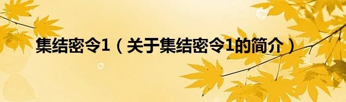 集结密令1（关于集结密令1的简介）