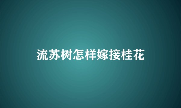流苏树怎样嫁接桂花
