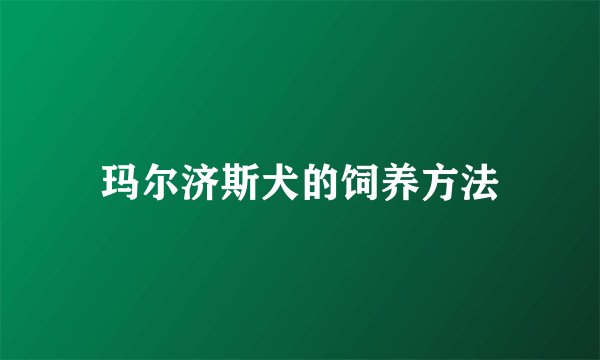 玛尔济斯犬的饲养方法