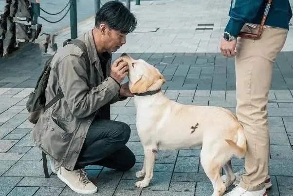 《小Q》票房破亿,同类别的经典作品还有哪些?