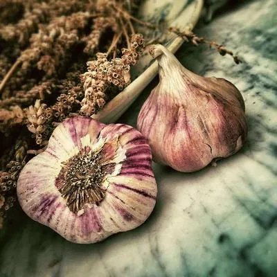 脑动脉硬化要如何治疗 脑动脉硬化的食疗法有哪些