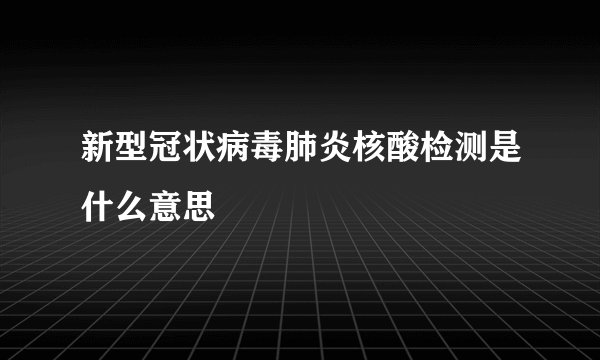 新型冠状病毒肺炎核酸检测是什么意思