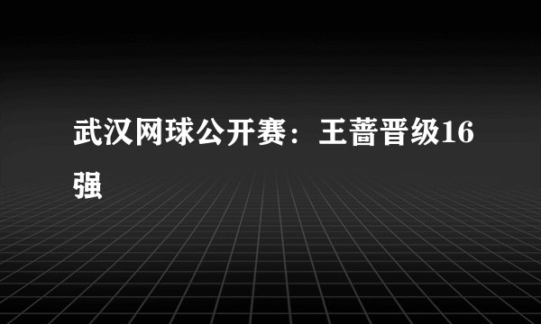 武汉网球公开赛:王蔷晋级16强