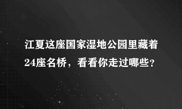 江夏这座国家湿地公园里藏着24座名桥,看看你走过哪些?