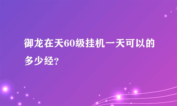 御龙在天60级挂机一天可以的多少经？