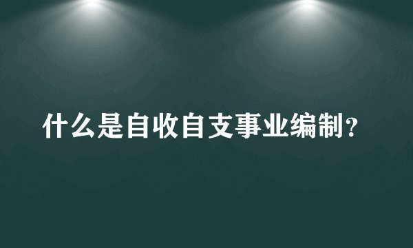 什么是自收自支事业编制？