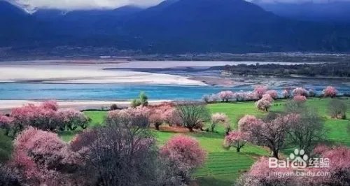 林芝旅游攻略