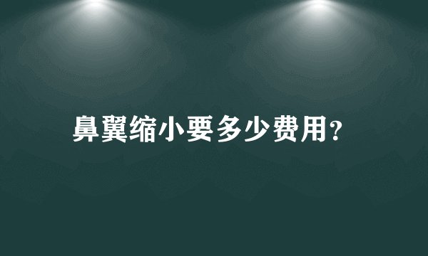 鼻翼缩小要多少费用？