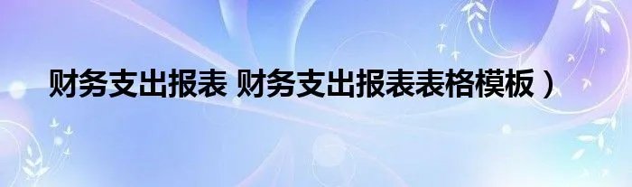 财务支出报表 财务支出报表表格模板)