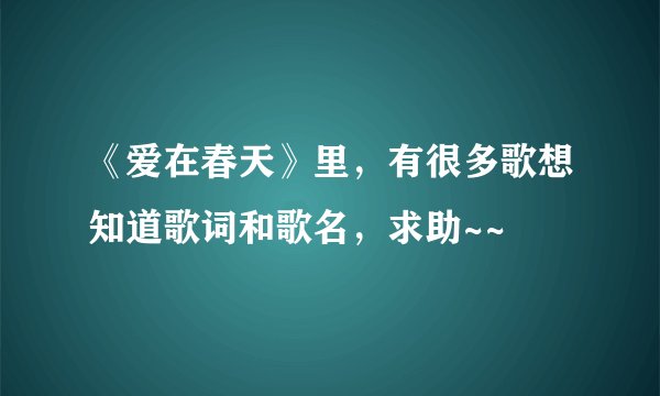 《爱在春天》里,有很多歌想知道歌词和歌名,求助~~