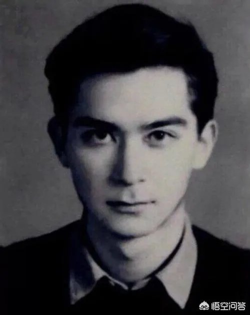 论相貌,王德民和何鸿燊谁帅?