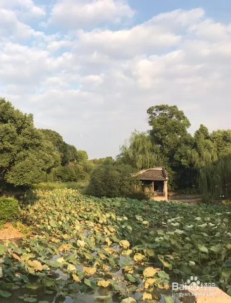 上海韩湘水博园有哪些好玩的景点?