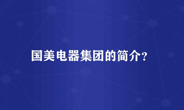国美电器集团的简介？