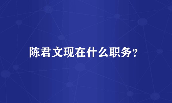 陈君文现在什么职务？