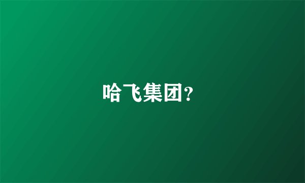 哈飞集团？