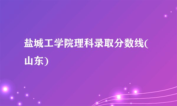 盐城工学院理科录取分数线(山东)