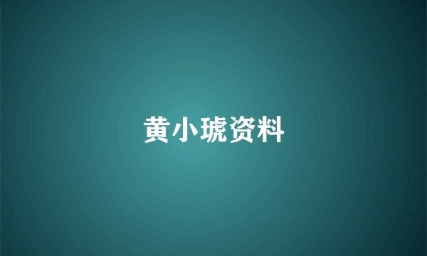 黄小琥资料