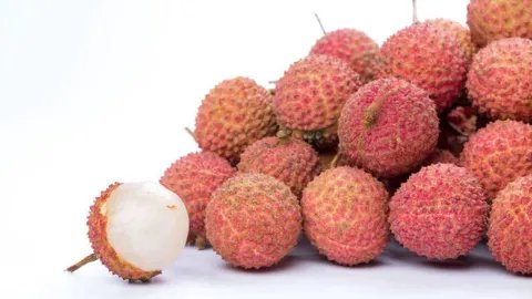 荔枝上火吗