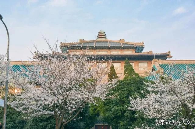 武汉大学通知本科生5.25线上答辩,是不是意味着武汉市的大学这学期不会开学了?