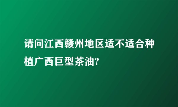 请问江西赣州地区适不适合种植广西巨型茶油?
